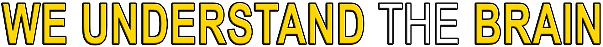 WE UNDERSTAND THE BRAIN